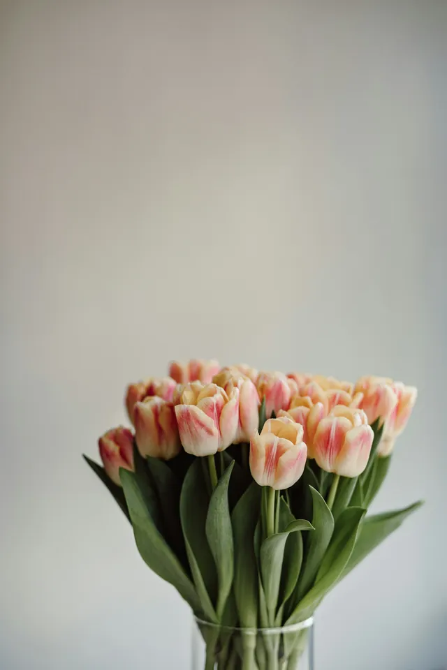 Seikat tulip peach di vas kaca