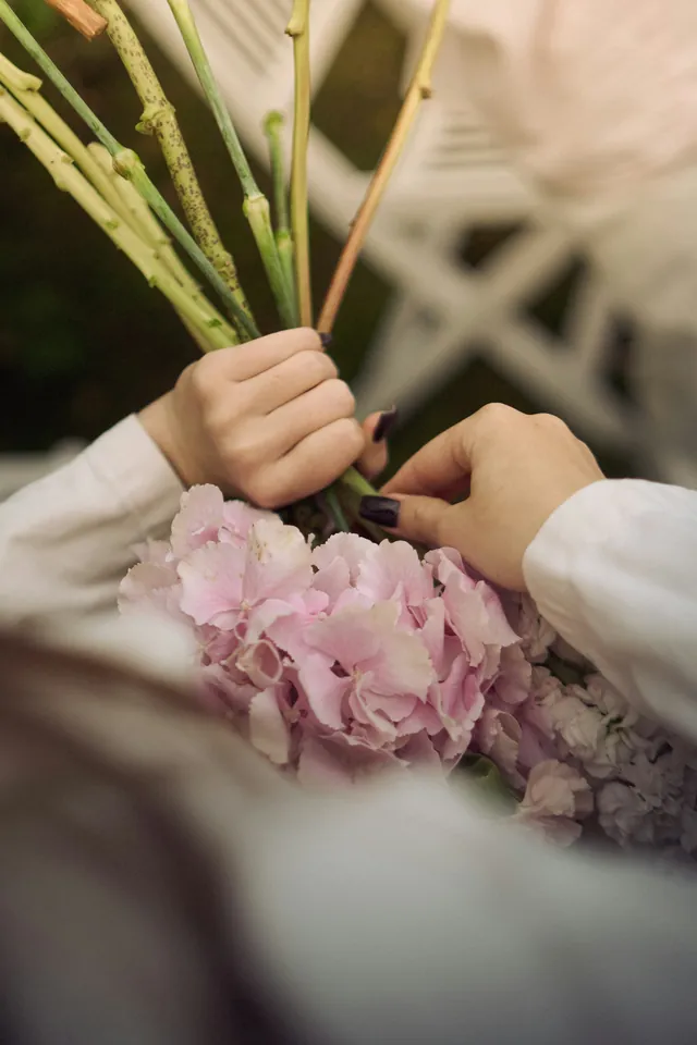 Tangan merangkai hydrangea pink